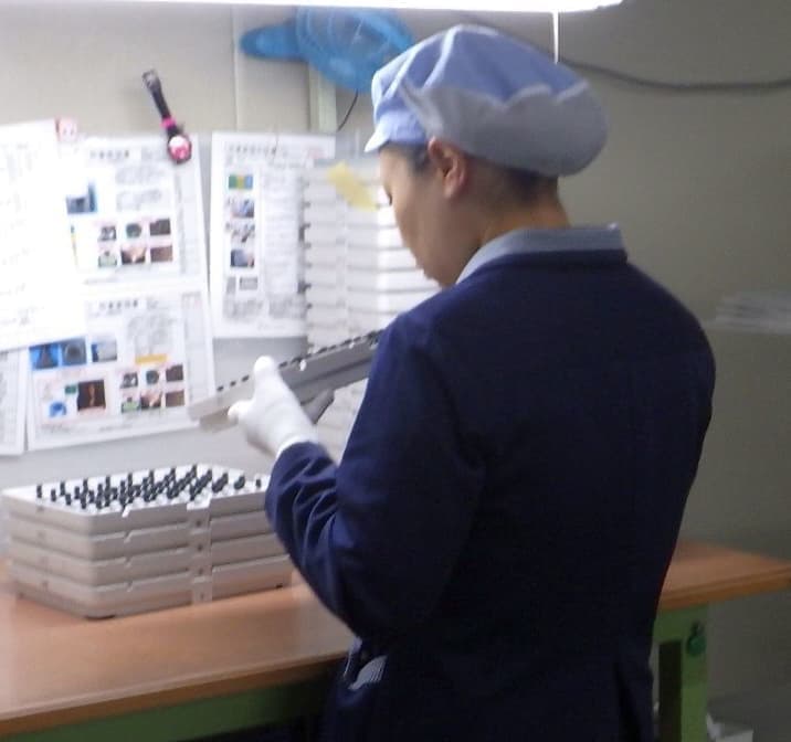 検査作業イメージ